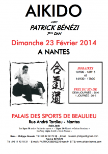 Stage avec Patrick Bénézi Shihan à Nantes le dimanche 23 février 2014
