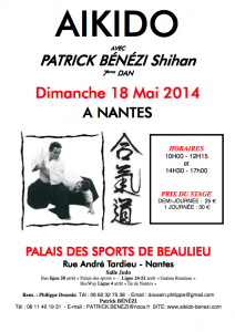 Stage avec Patrick BENEZI Shihan le diamnche 18 mai 2014 à Nantes