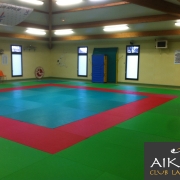 Dojo de Langeais
